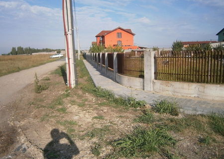 Casa Dumbravita Casa Dumbravita