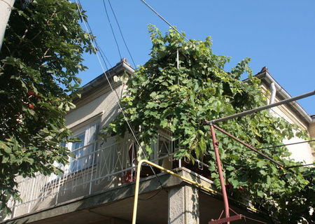 casa+etajul unu dintr-o vila casa+etajul unu dintr-o vila