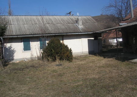casa in Vadu
