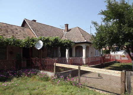 Casa Ogra Mures