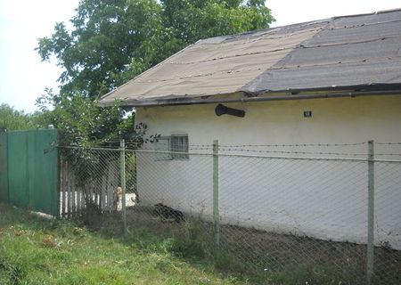 Casa pe comuna Schitu satul Vlasin din Giurgiu