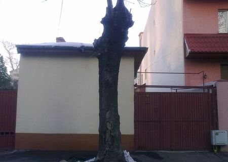 Casa singur curte.