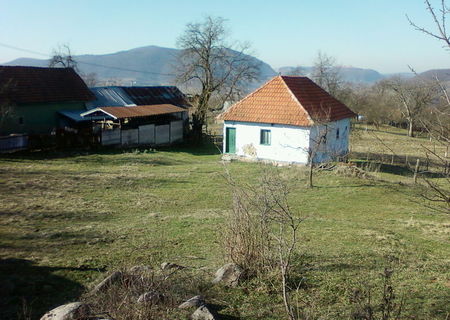 Casa taraneasca si gradina