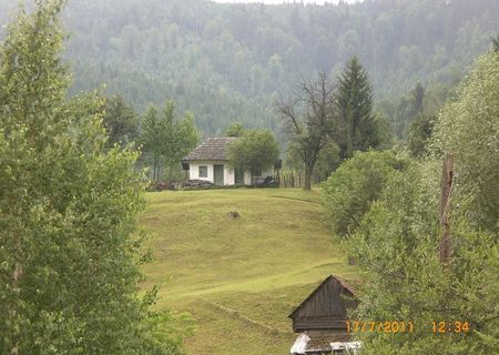 Casa Valea Trotusului Casa Valea Trotusului