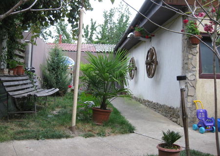 casa zona ion creanga