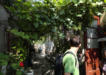 Casa zona Mitropolit Filaret