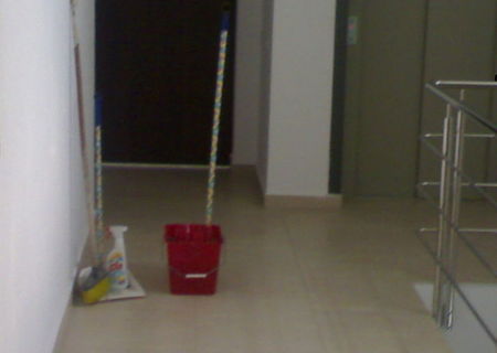 cautam curatenii