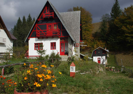 CAZARE LA MUNTE LA VILA CRISTINA(CHEIA)