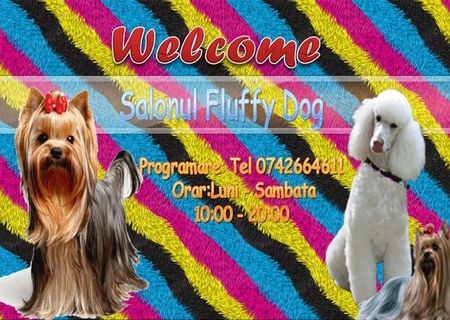 Coafura Canina Fluffy Dog Coafura Canina Fluffy Dog