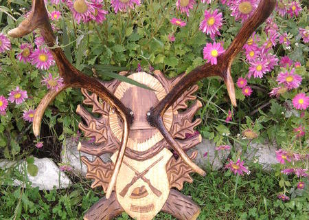 coarne de cerb