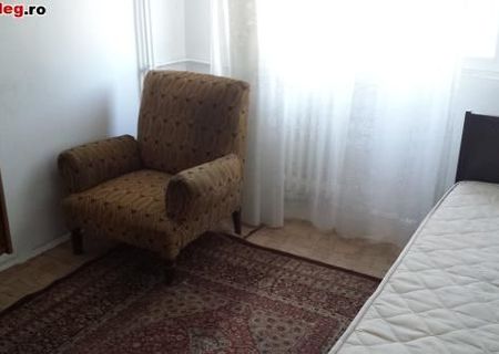 Colega de apartament