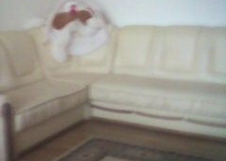 COLTAR DE PIELE