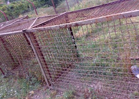 Containere pentru porumb