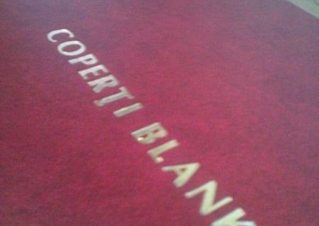 Coperti blank pe surub pentru audley Coperti blank pe surub pentru audley