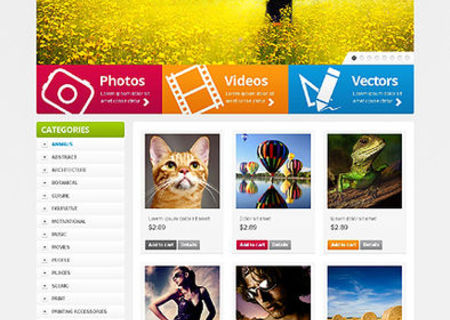 Creare site web ieftin
