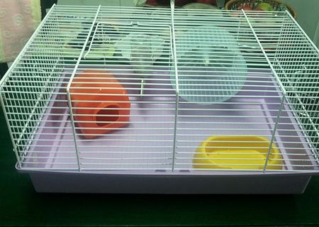 Cuşcă hamsteri Cuşcă hamsteri