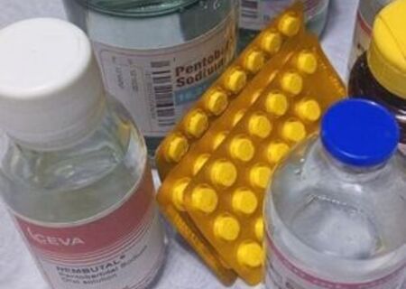 Cumpărați cianură, nembutal, xanax, valium, oxitocină, mefedronă și alte substanțe chimice în siguranță și discret, fără prescripție medicală Cumpărați cianură, nembutal, xanax, valium, oxitocină, mefedronă și alte substanțe chimice în siguranță și discret, fără prescripție medicală