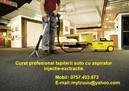Curat profesional tapiterii auto .