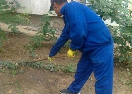Curatenie spatiu verde