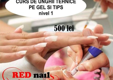 Curs de aplicare a unghiilor cu gel, constructie gel si tips Nivelul 1 Curs de aplicare a unghiilor cu gel, constructie gel si tips Nivelul 1