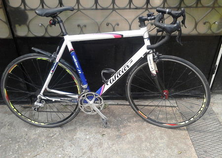 Cursiera Wilier Triestina