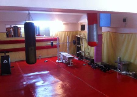 Cursuri de BJJ/MMA/Autoaparare/Lupte/Judo