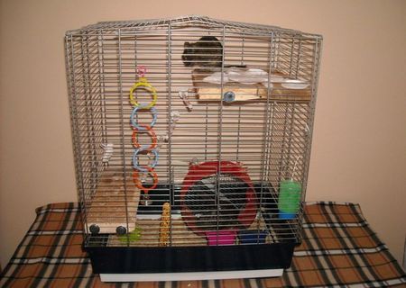 Cusca pentru veverite Degu/hamsteri/porcusori de guineea/papagali