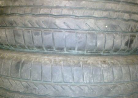 danlup sport sh