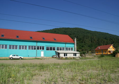 De vanzare sau inchiriat
