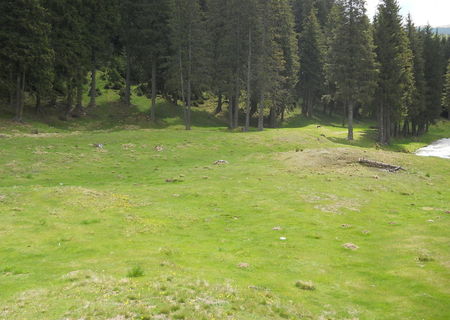 De vanzare teren la Padina-Pestera, Moroeni/Dambovita