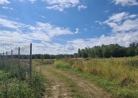 Domnesti aproape Strada Ferigilor cu Strada Brebenelului