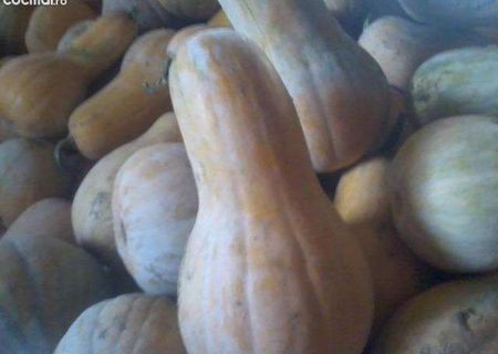 Dovleci placintari foarte dulci