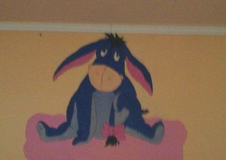 execut picturi pe pereti