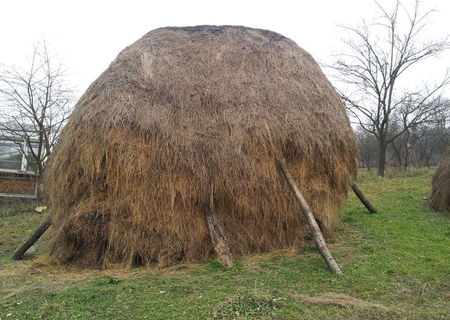 fan si otava