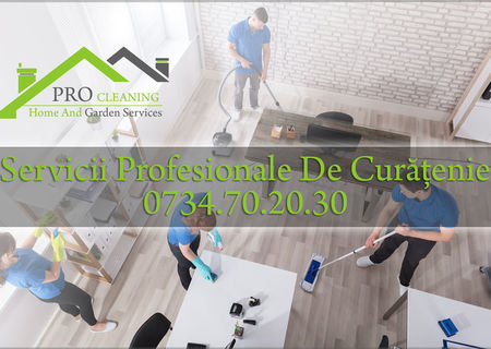 Firma De Curatenie Timisoara Pro Cleaning