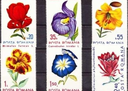 Flori din gradini botanice - serie 6 valori nestampilate.