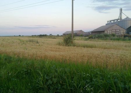 Focsani Centura E 85 intravilan construibil