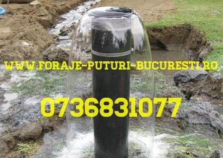 Foraje Puturi