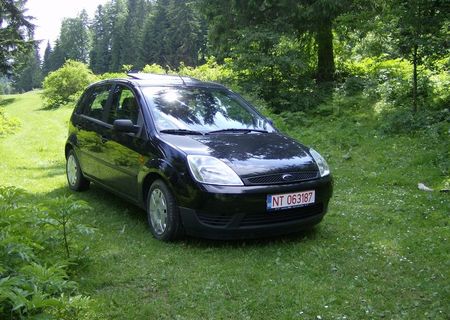 ford fiesta 2003 ford fiesta 2003