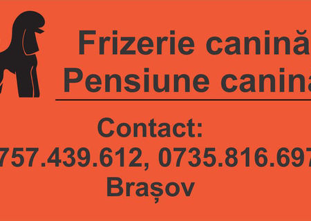 Frizerie Canina Brasov Frizerie Canina Brasov