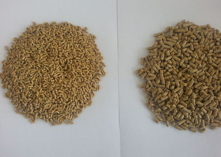 furaje pui,curca,porci,prepelite,iepuri-producator