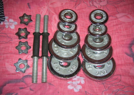 Gantere 20kg