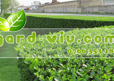 GARD VIU direct de la producator GARD VIU direct de la producator