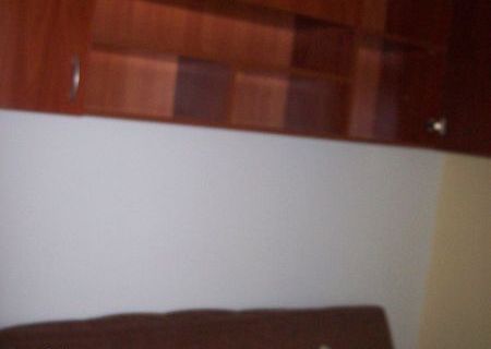 garsoniera vasile lascar intrare din stefan cel mare