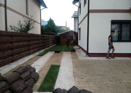 Gazon rulou sport 22 de lei m2. Transport și montaj inclus