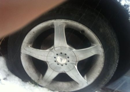 Genti aliaj R15