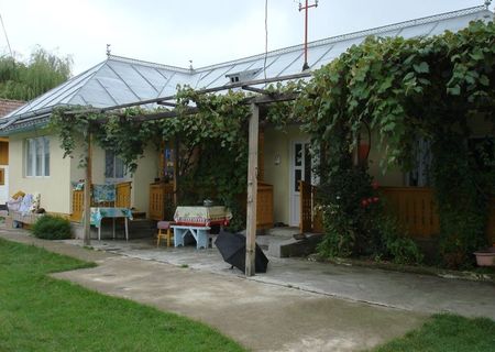Gospodarie de vanzare in Strateni - Botosani Gospodarie de vanzare in Strateni - Botosani
