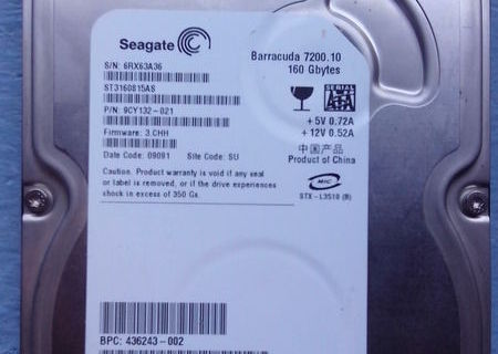 Hard disk 160 gb