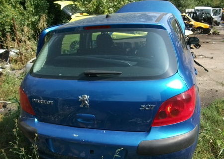 hayon peugeot 307, an fab 2005