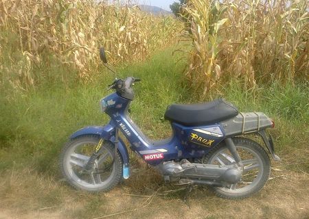 Honda 50cm